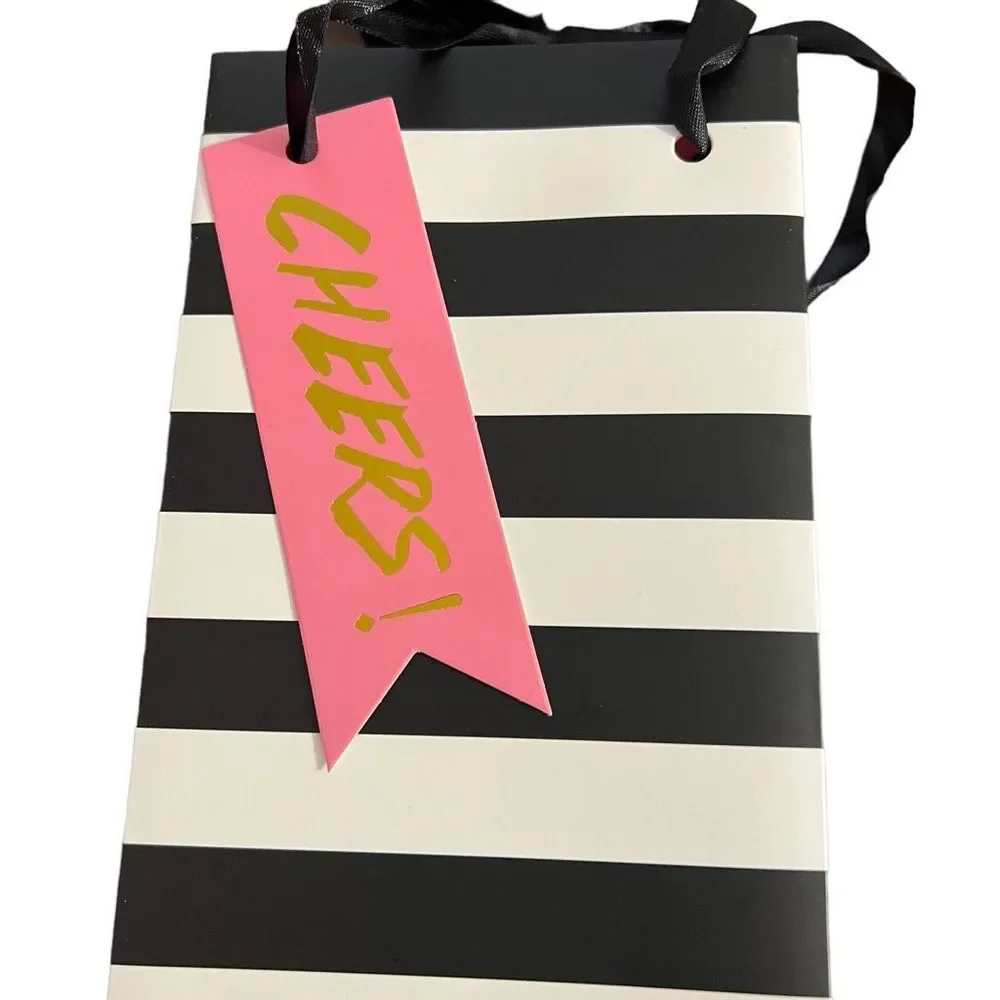 Pack Of Heavy Paper Cheers Wine Gift Bag Set Of 10 Pink Mint Green Black White S